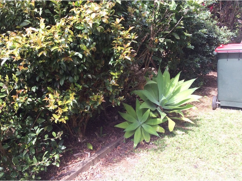 15 Jacaranda Ave, Murwillumbah NSW 2484