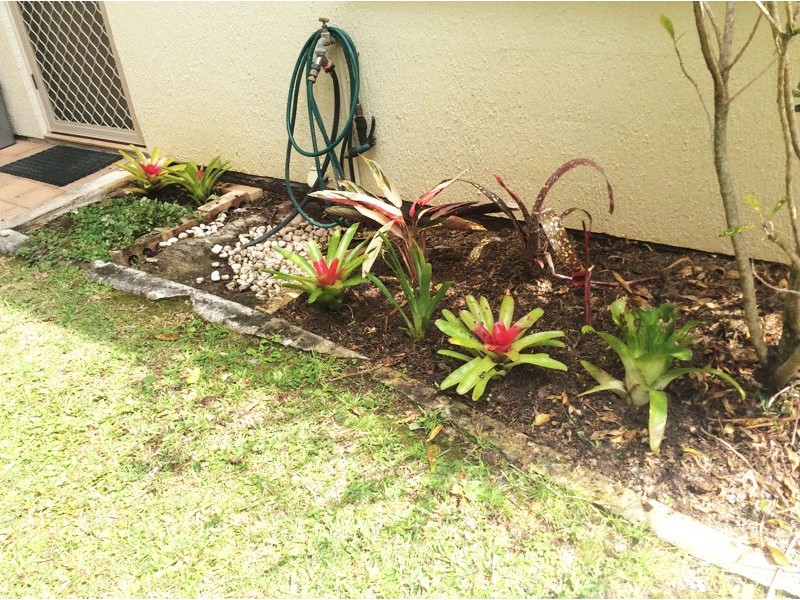 15 Jacaranda Ave, Murwillumbah NSW 2484