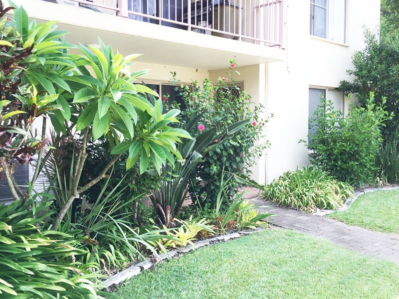 15 Jacaranda Ave, Murwillumbah NSW 2484