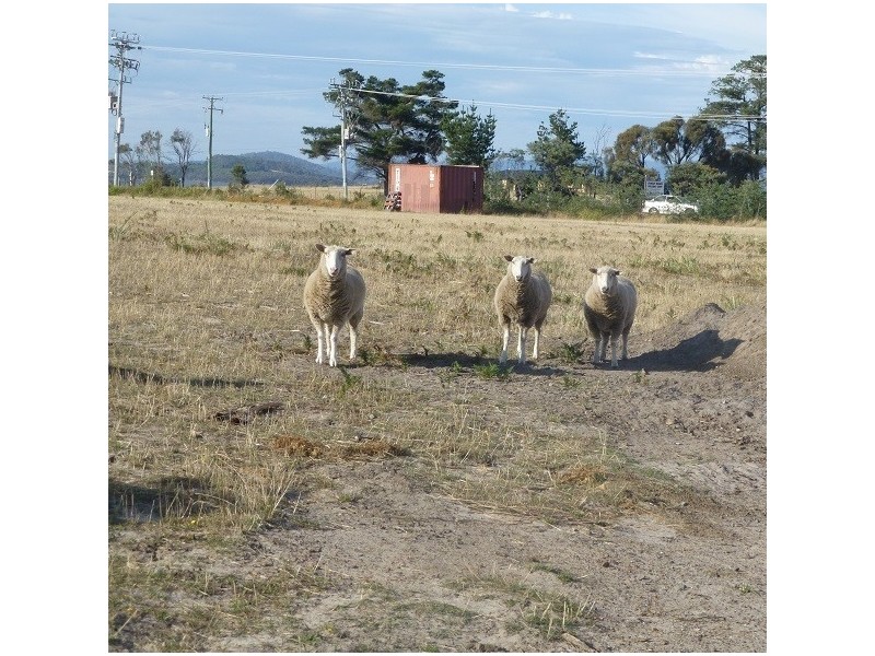 209-221 Arthur Highway, Dunalley TAS 7177