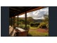 2601 Wollombi Road, Wollombi NSW 2325