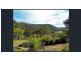 2601 Wollombi Road, Wollombi NSW 2325
