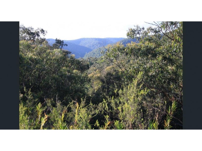 2601 Wollombi Road, Wollombi NSW 2325