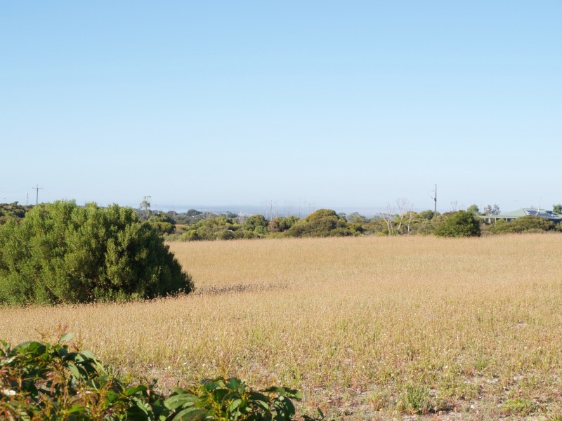 10 Peregrine Drive, Marion Bay SA 5575