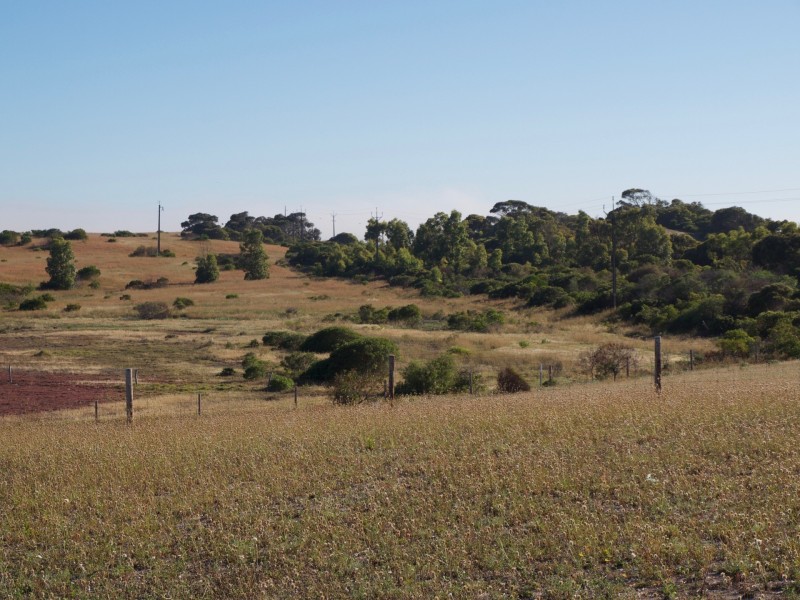 10 Peregrine Drive, Marion Bay SA 5575