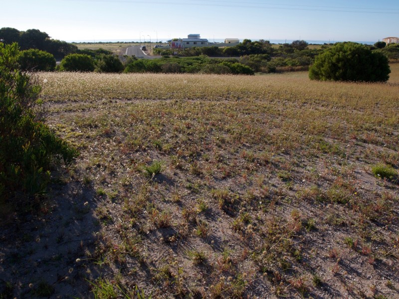 10 Peregrine Drive, Marion Bay SA 5575