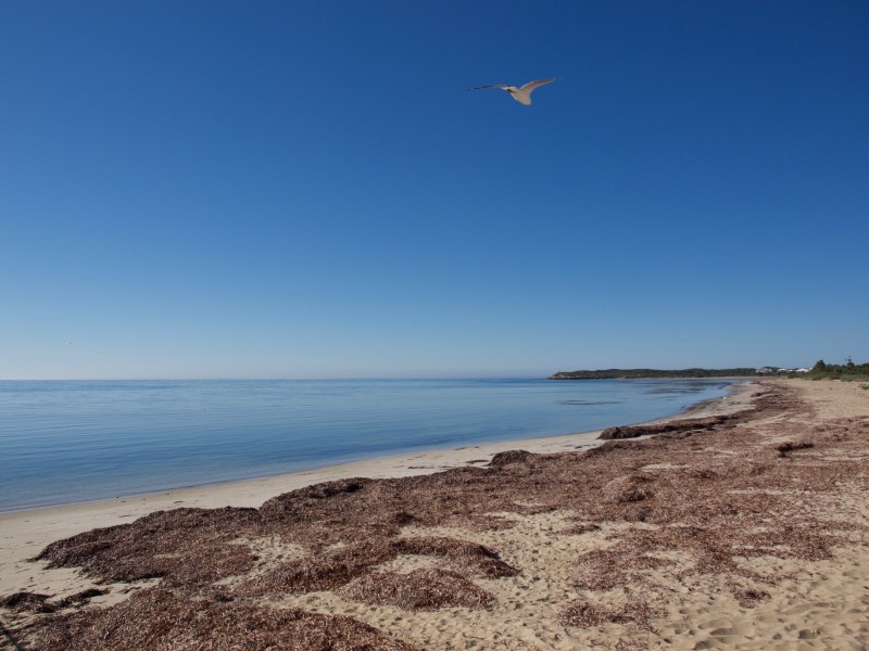 10 Peregrine Drive, Marion Bay SA 5575