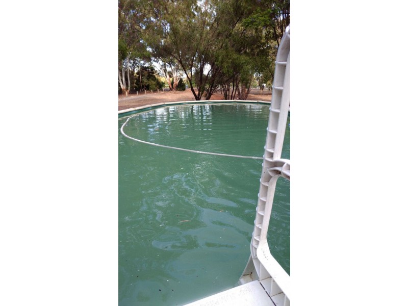 12 Dean Rd, Nannup WA 6275