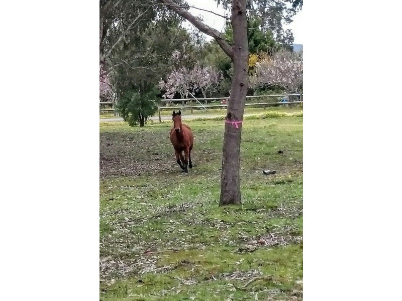 12 Dean Rd, Nannup WA 6275