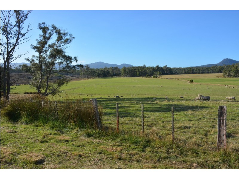 St Marys TAS 7215