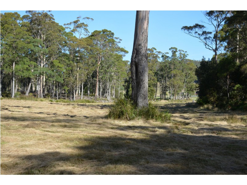 St Marys TAS 7215