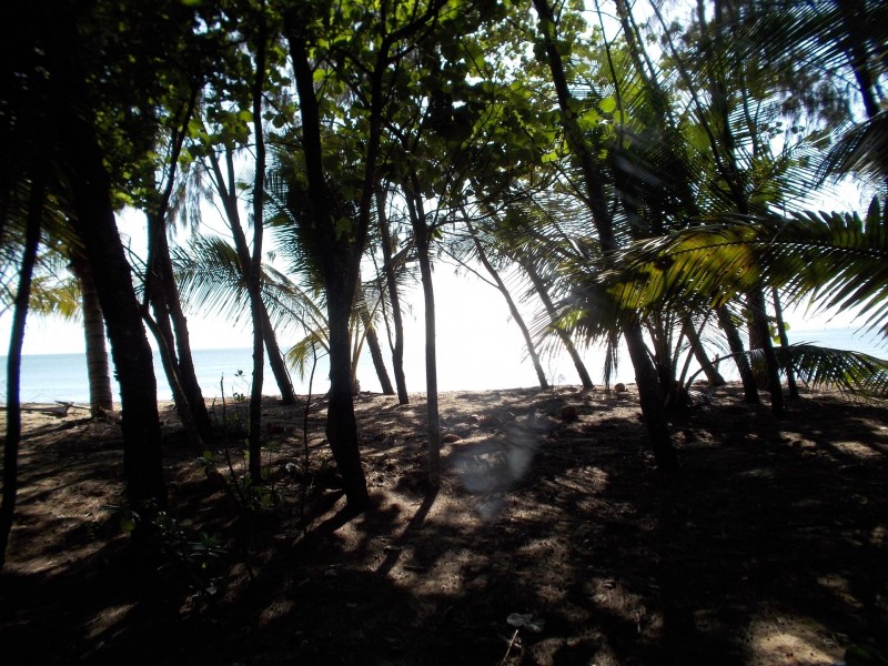 Lot 6 Section 2 Russel Heads, East Russell QLD 4861