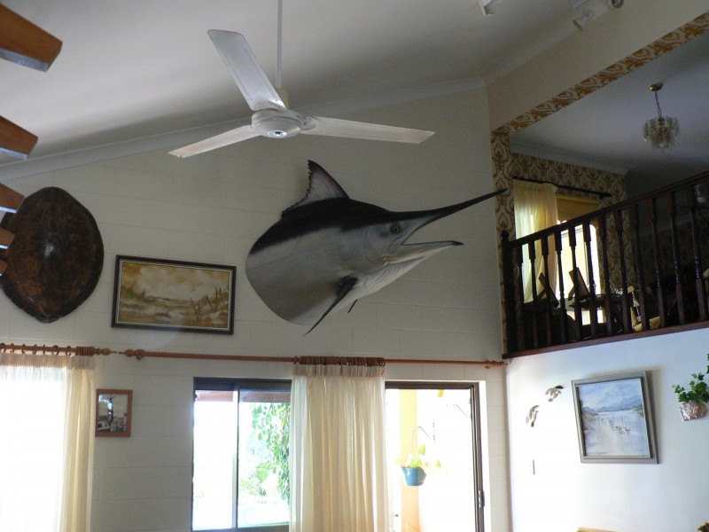 Lot 6 Section 2 Russel Heads, East Russell QLD 4861