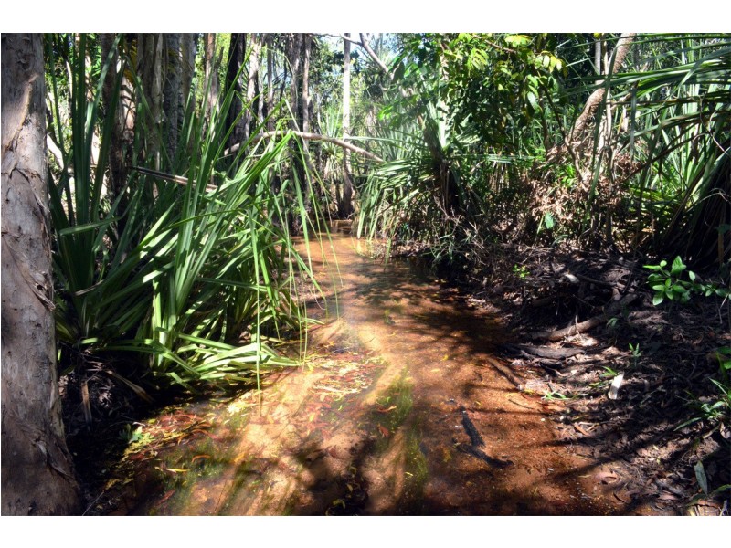 Bees Creek NT 0822