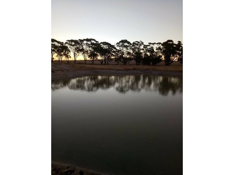 Lot 3767 Fiegert Road, Cunderdin WA 6407