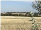 Lot 3767 Fiegert Road, Cunderdin WA 6407