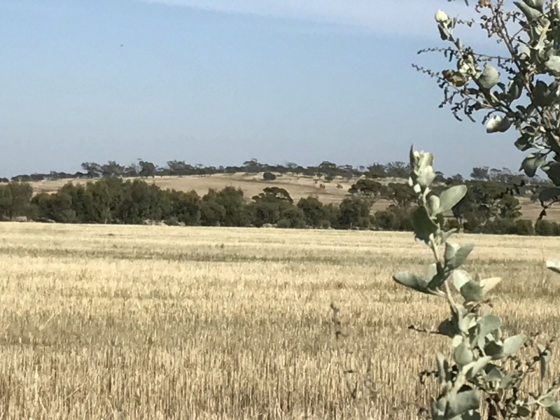 Lot 3767 Fiegert Road, Cunderdin WA 6407