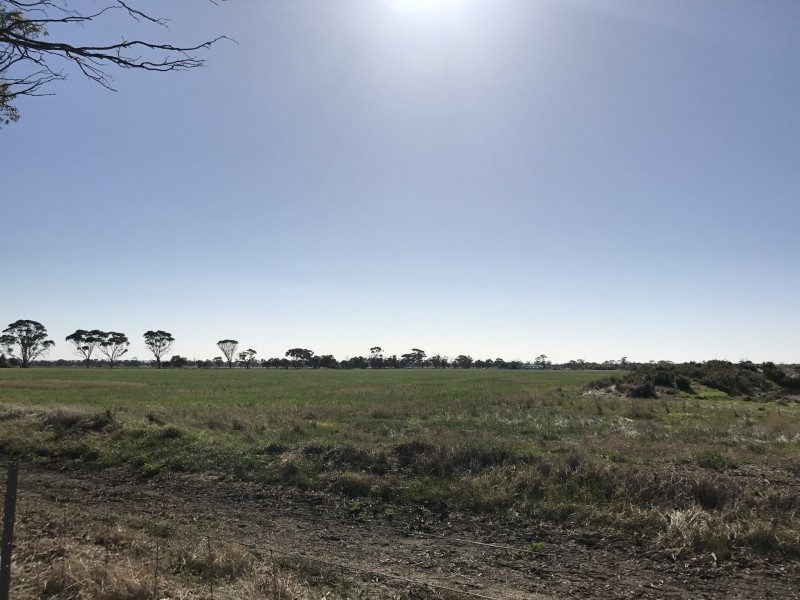 Lot 3767 Fiegert Road, Cunderdin WA 6407