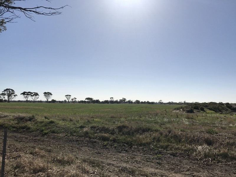 Lot 3767 Fiegert Road, Cunderdin WA 6407