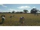 Lot 3767 Fiegert Road, Cunderdin WA 6407
