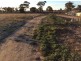 Lot 3767 Fiegert Road, Cunderdin WA 6407