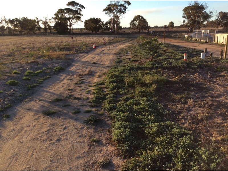 Lot 3767 Fiegert Road, Cunderdin WA 6407