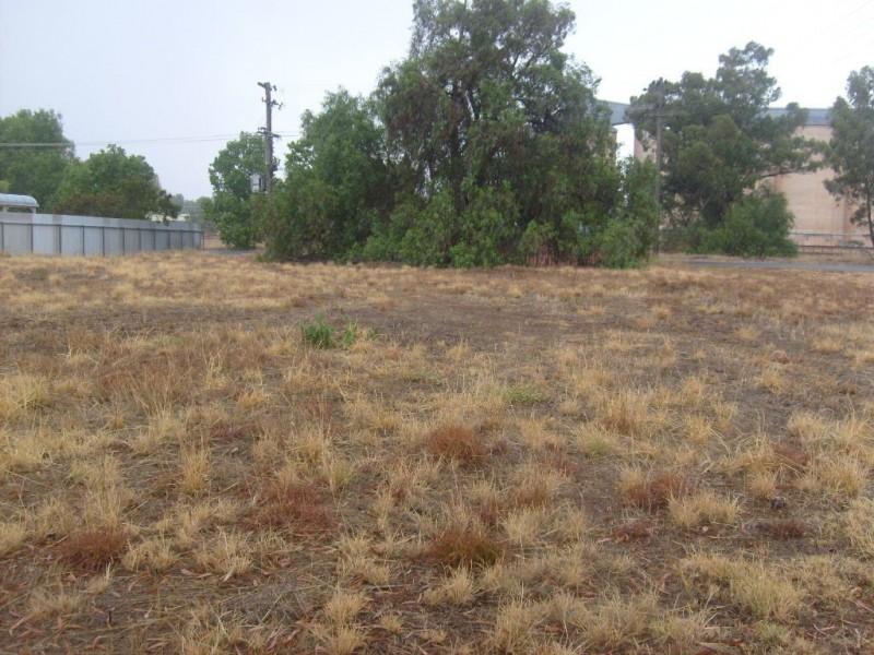 22 Derry Street, Ganmain NSW 2702