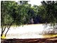 3 Railway Terrace, Paringa SA 5340