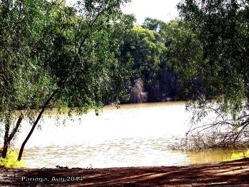 3 Railway Terrace, Paringa SA 5340