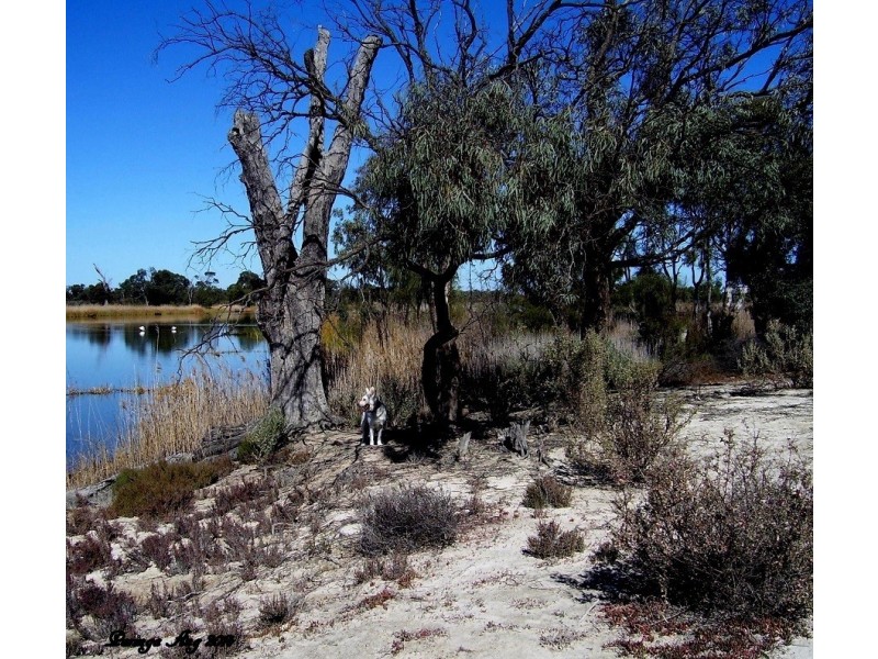 3 Railway Terrace, Paringa SA 5340