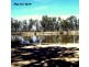 3 Railway Terrace, Paringa SA 5340