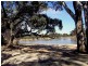 3 Railway Terrace, Paringa SA 5340