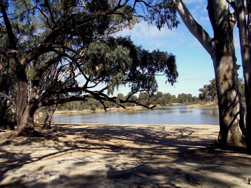 3 Railway Terrace, Paringa SA 5340