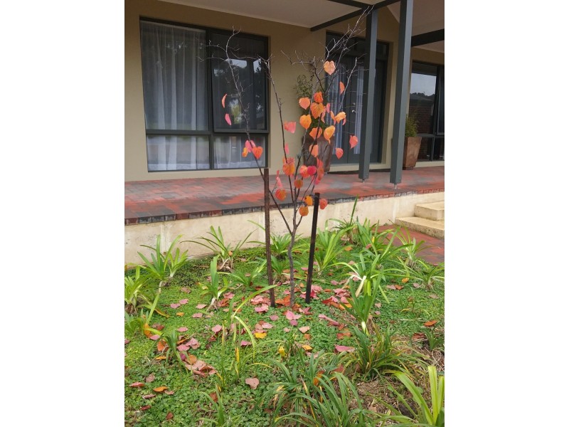 2/8 Ti Tree Lane, Denmark WA 6333