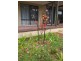 2/8 Ti Tree Lane, Denmark WA 6333