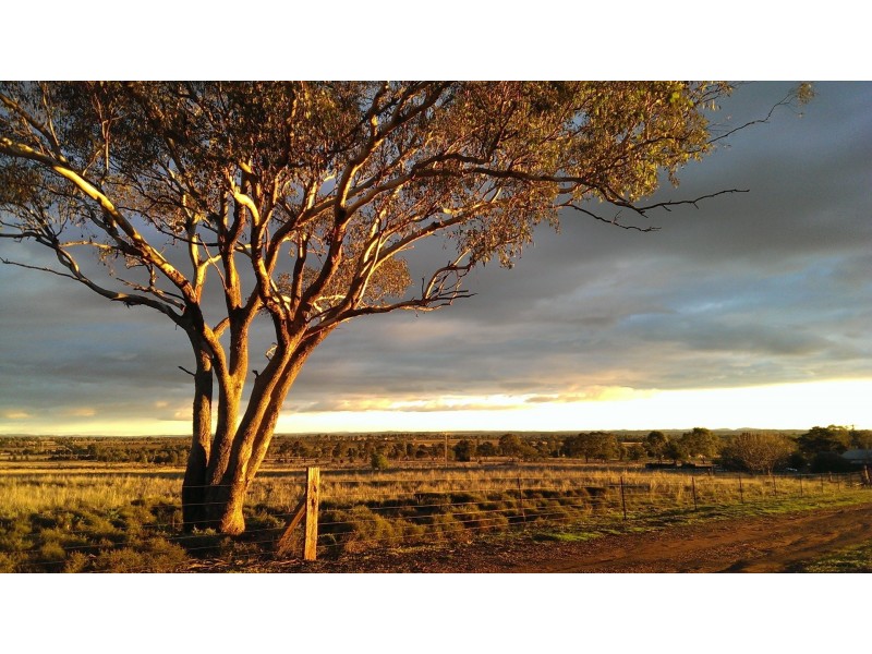 Dubbo NSW 2830