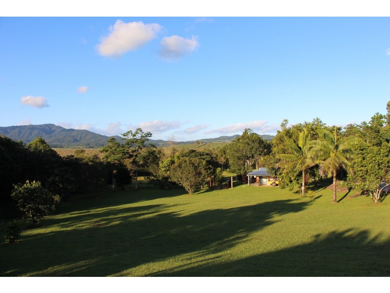 14 O’Connor Dr, Innisfail QLD 4860