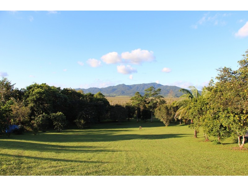 14 O’Connor Dr, Innisfail QLD 4860