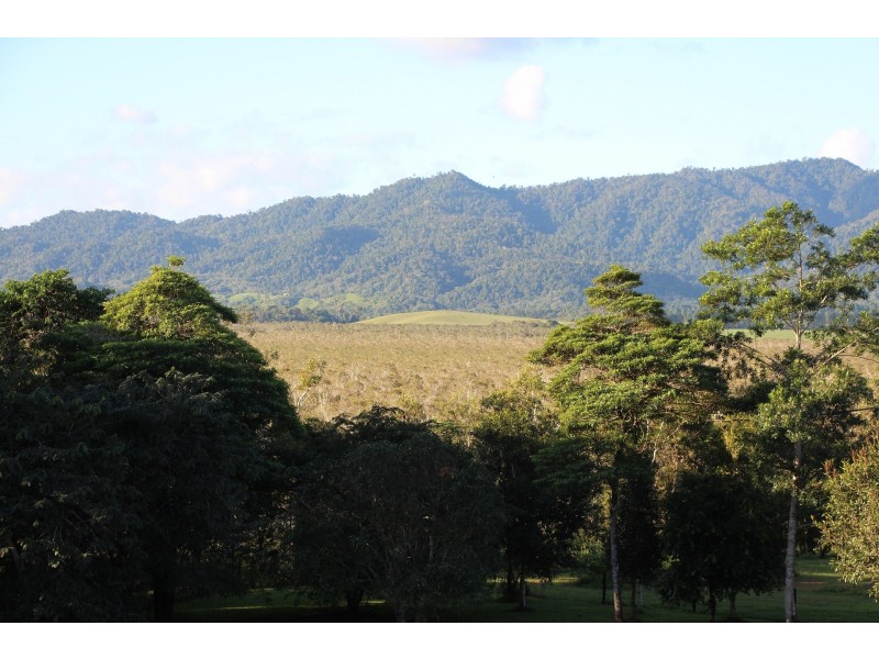 14 O’Connor Dr, Innisfail QLD 4860