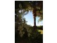 14 O’Connor Dr, Innisfail QLD 4860