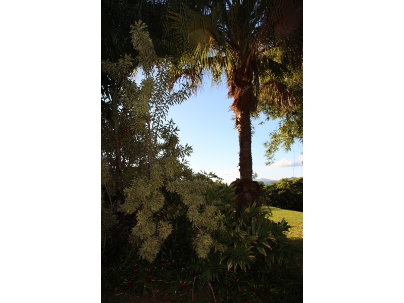 14 O’Connor Dr, Innisfail QLD 4860