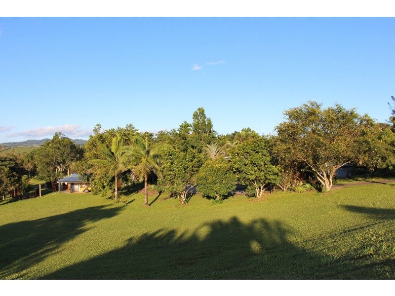 14 O’Connor Dr, Innisfail QLD 4860