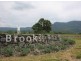 Lot 1647 Brooks Reach, Horsley NSW 2530