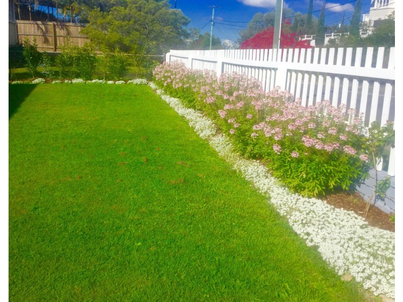 83 Hamilton Road, Wavell Heights QLD 4012