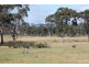 Lot 7 Sunraysia Highway, Lamplough VIC 3352