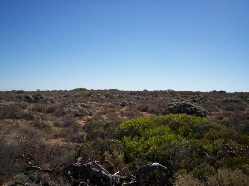 lot 67 Clare Bay Rd, Fowlers Bay SA 5690