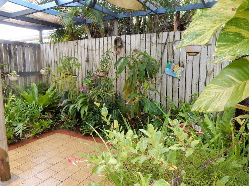51 Wattle Street, Forrest Beach QLD 4850