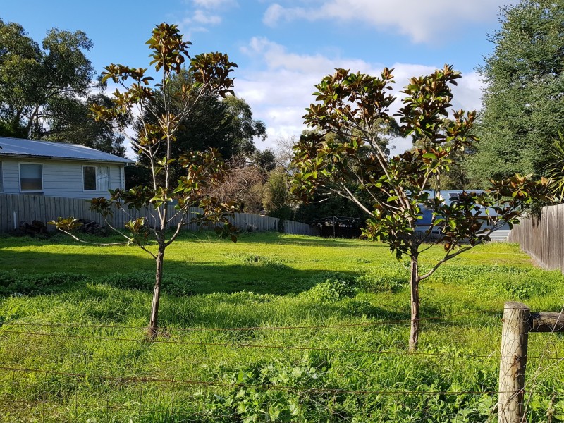 14 Birdwood Avenue, Healesville VIC 3777