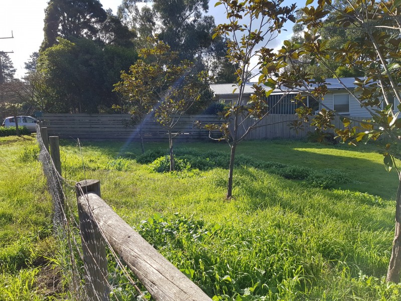 14 Birdwood Avenue, Healesville VIC 3777