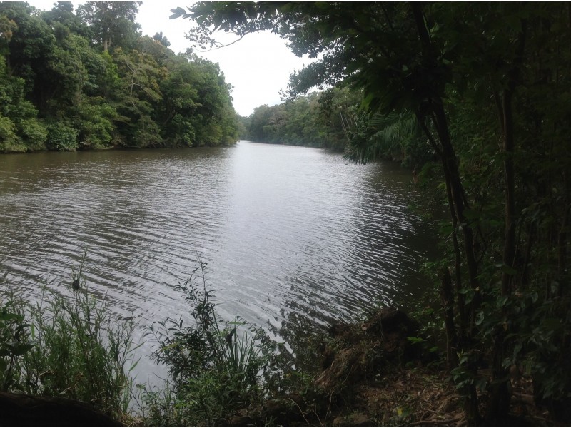 1991 Endeavour Valley Road, Cooktown QLD 4895